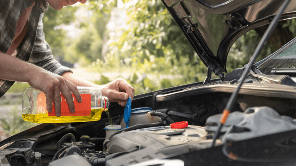 Fluid check on Car