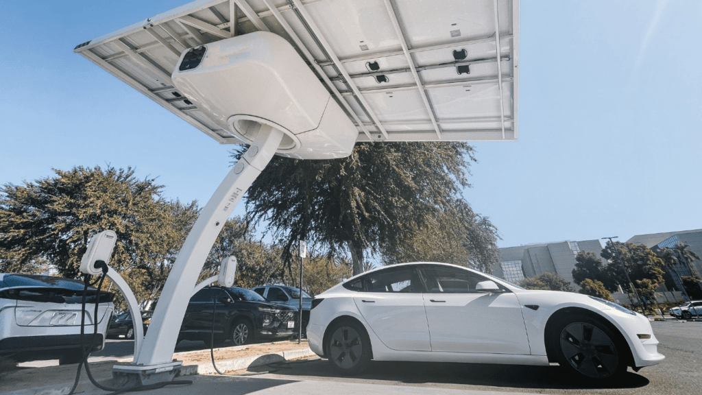 Top Auto Rental Trends to Watch in 2024 EVs AI Subscriptions and More