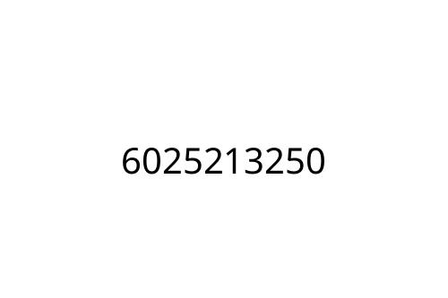 6025213250