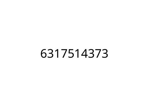 6317514373