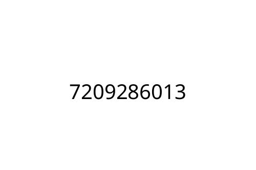7209286013