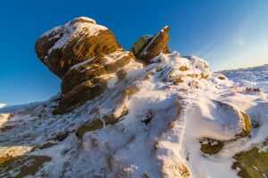 disinfecting or delousing centers meaning in context of the holocaust