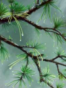 do hand and stone gift cards expire