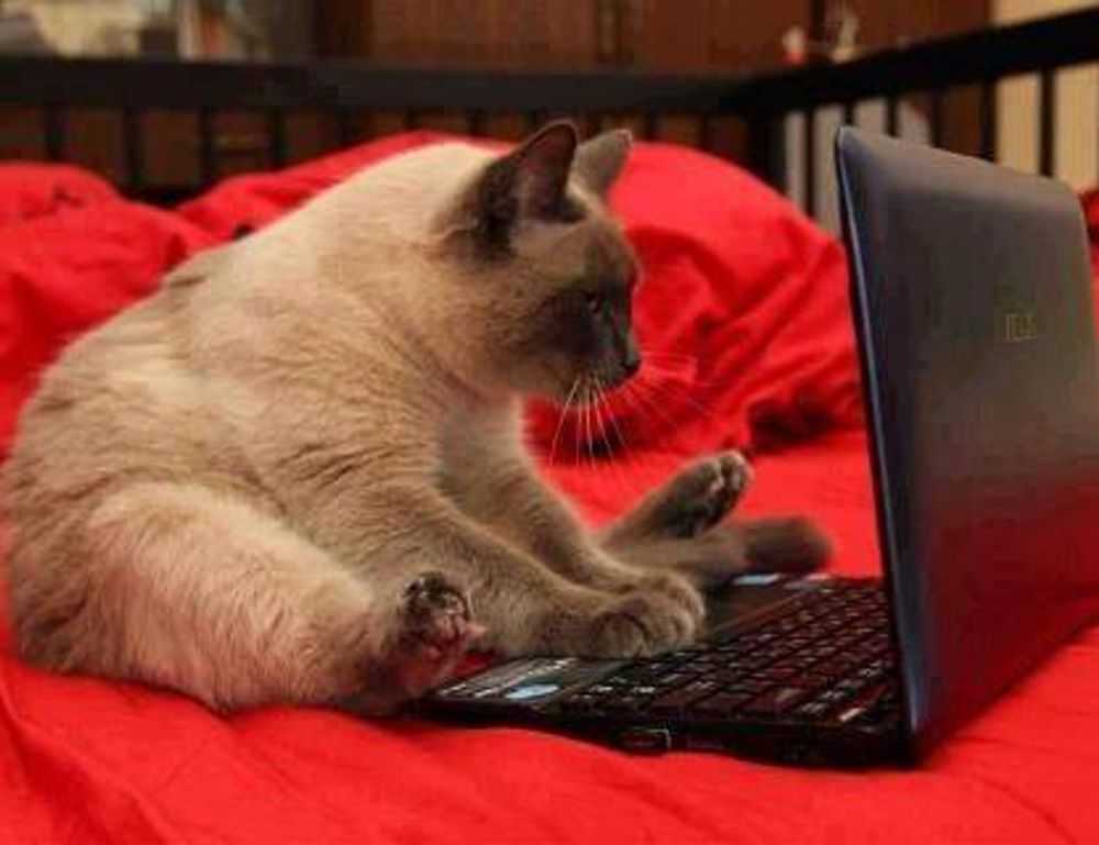 do mopfell78 pc gamers have an advantage