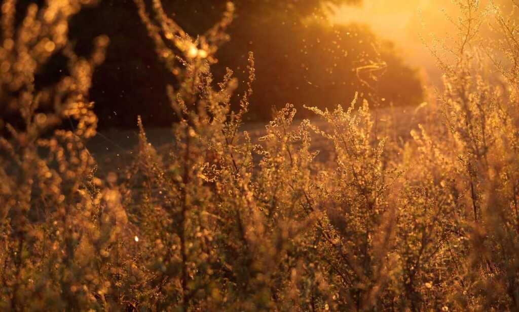 grs uine28.6 error codes