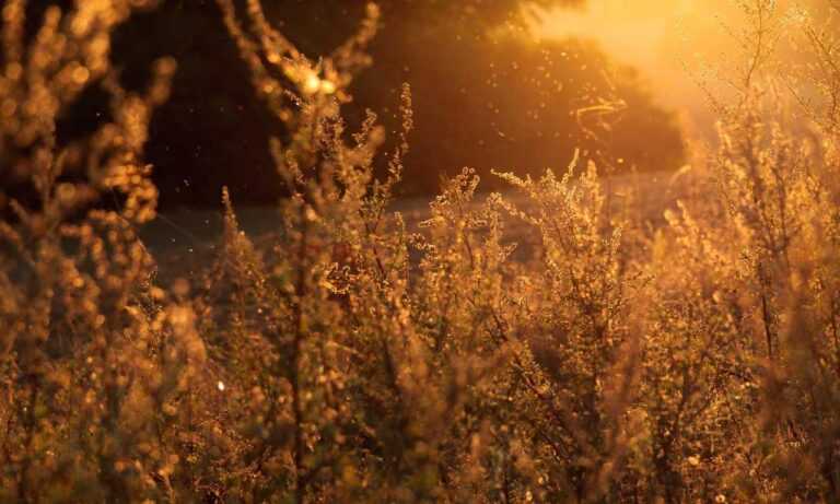 grs uine28.6 error codes