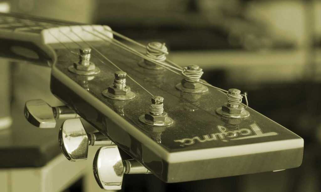 what are higossis brush made of