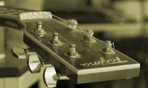 what are higossis brush made of