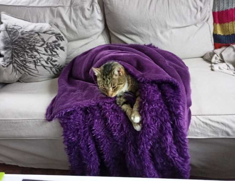 23000 pesos mexicanos a chilenos