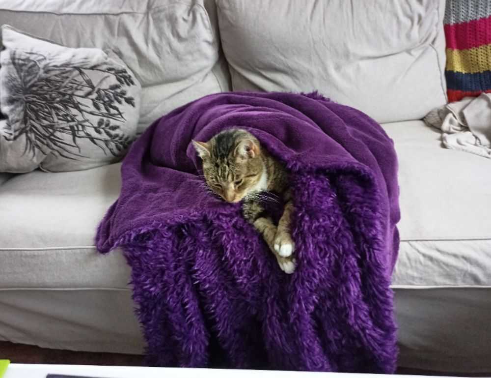 23000 pesos mexicanos a chilenos