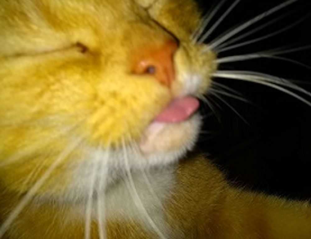 chabuca granda dibujo animado