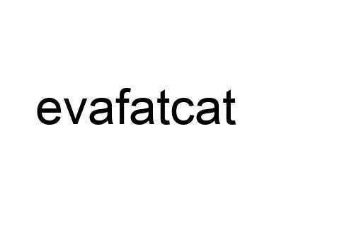 evafatcat