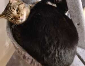 gracecharisxo onlyfans leaks