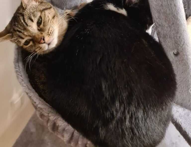 gracecharisxo onlyfans leaks