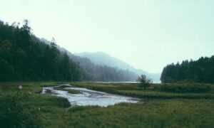 kevin olguin instagram