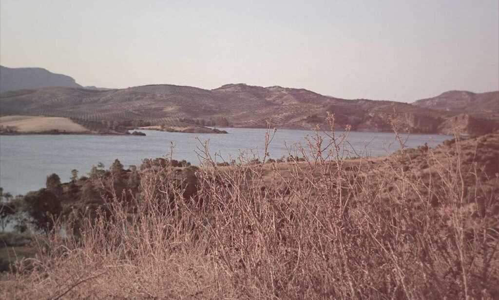 vestuario alejandra guzman 90s