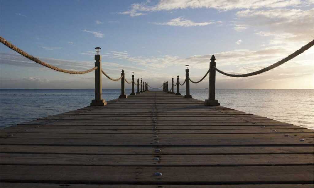 yina calderon only fans