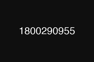 1800290955