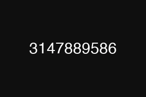 3147889586
