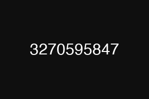 3270595847
