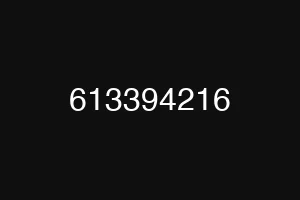 613394216