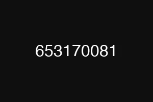 653170081