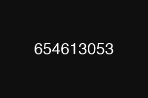 654613053