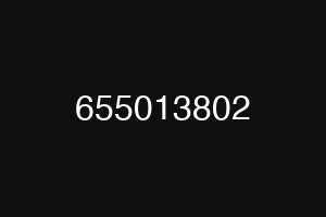 655013802