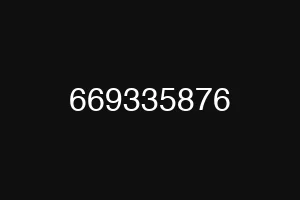 669335876