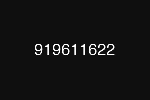 919611622