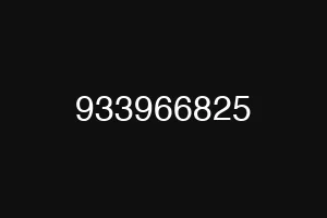 933966825