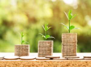 Economics Guideline Gscfinanceville