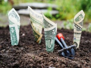 Which Investment Account to Open Gscfinanceville
