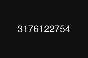 3176122754