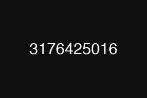 3176425016