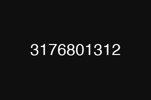 3176801312