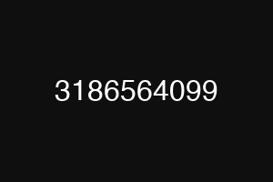 3186564099