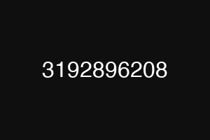3192896208