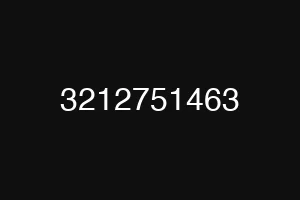 3212751463