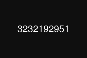 3232192951