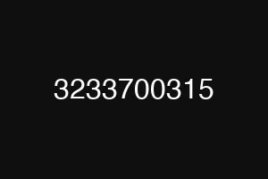 3233700315