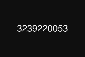 3239220053
