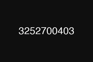 3252700403
