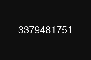 3379481751
