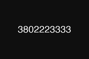 3802223333