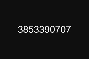 3853390707