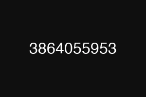 3864055953