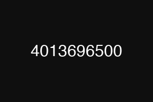 4013696500