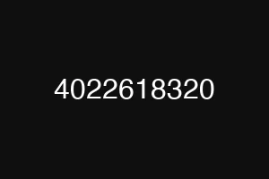 4022618320