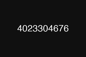4023304676
